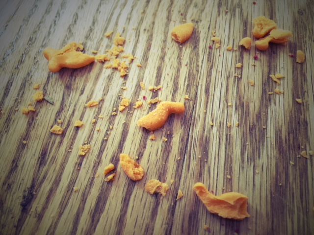 Goldfish